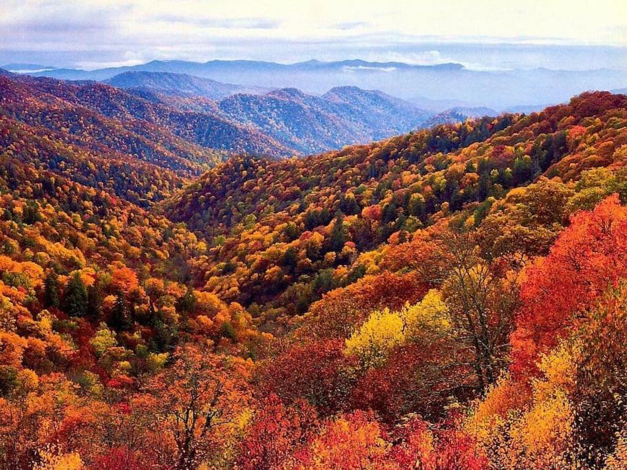 Bourbon Hollow Lodge With Hot Tub And Pool Plus Game Room Only 5 Min To Downtown Gatlinburg Εξωτερικό φωτογραφία